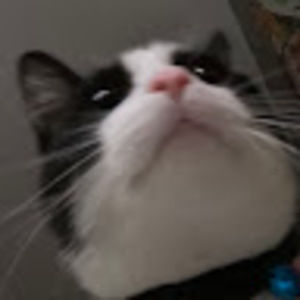 Meet your Posher, Levi